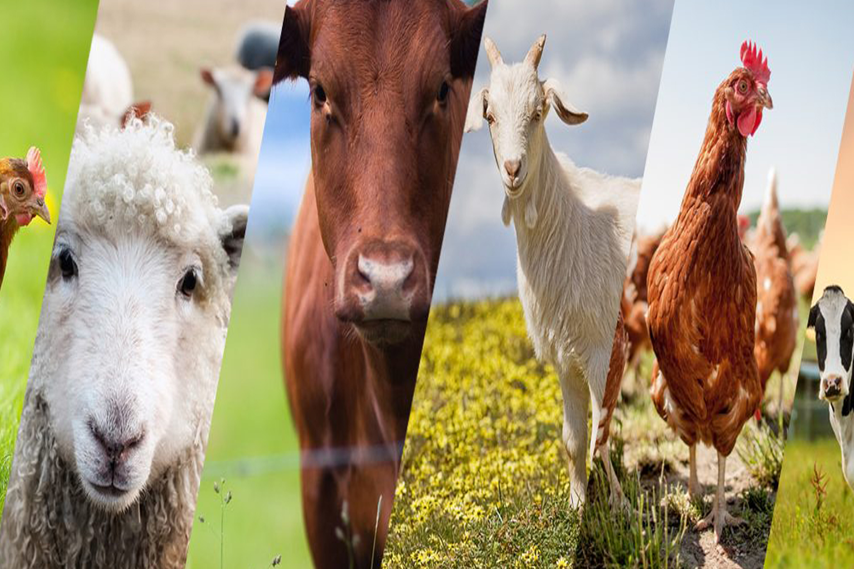 Sizden haber almak isteriz